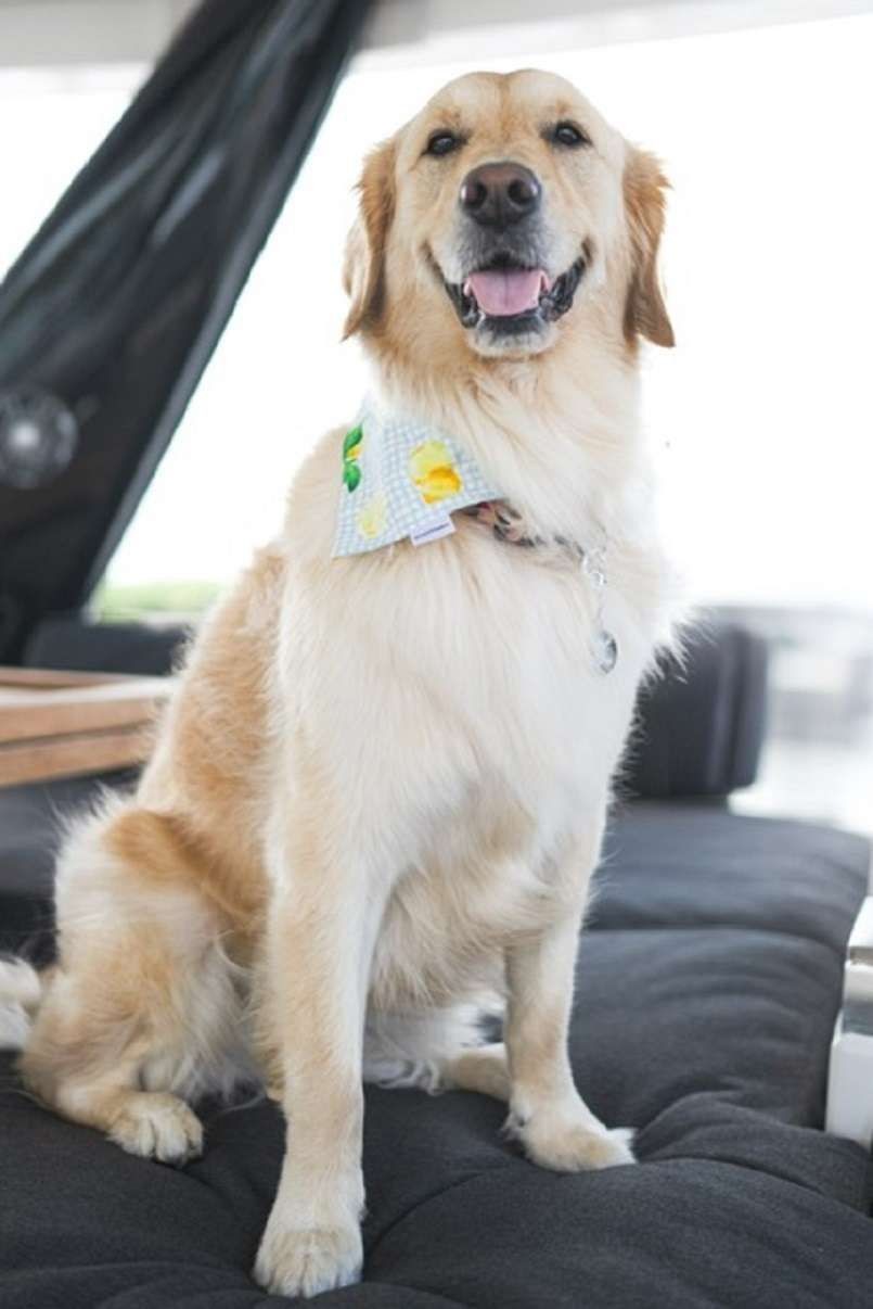 Co-captain Coral